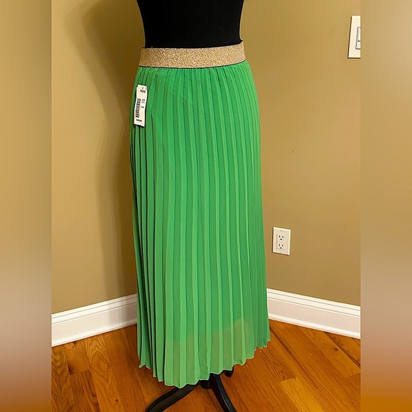 Made in Italy Green pleated skirt with gold elastic waist. One size. New w/tags - Picture 3 of 12
